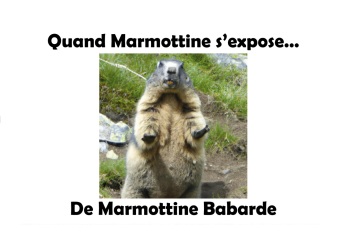 Книга Quand Marmottine s'expose Marmottine Babarde