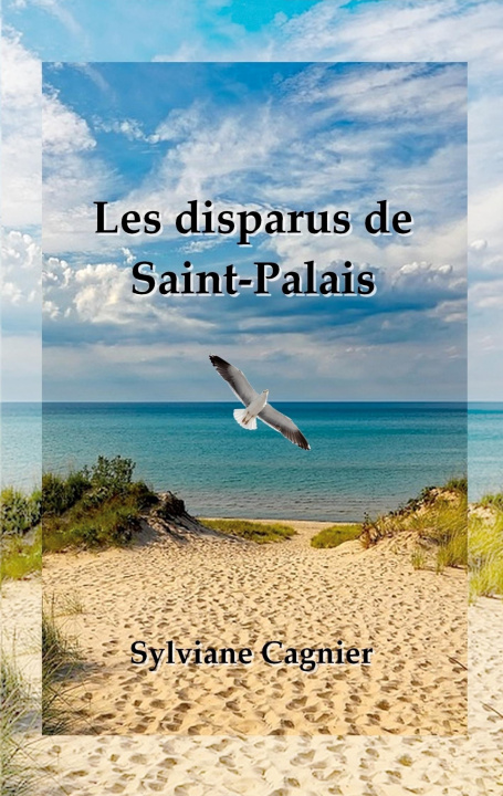 Könyv Les disparus de Saint-Palais 