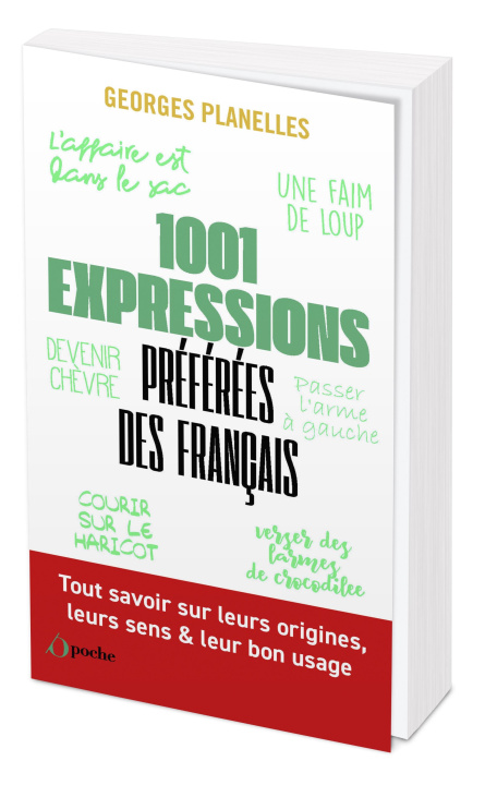 Kniha 1001 expressions préférées des français Planelles