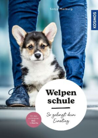 Kniha Welpenschule Sonja Meiburg