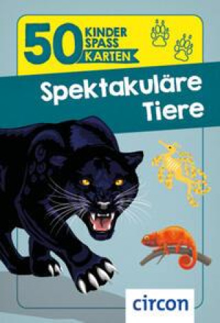 Kniha Spektakuläre Tiere Karolin Küntzel