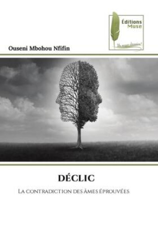 Knjiga DÉCLIC Ouseni Mbohou Nfifin