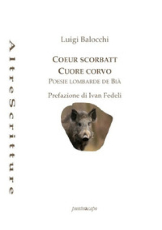 Book Coeur scorbatt. Cuore corvo Luigi Balocchi