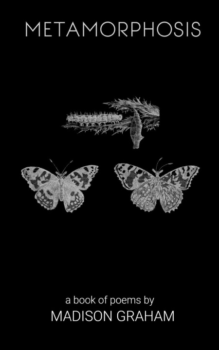 Książka Metamorphosis Madison Graham