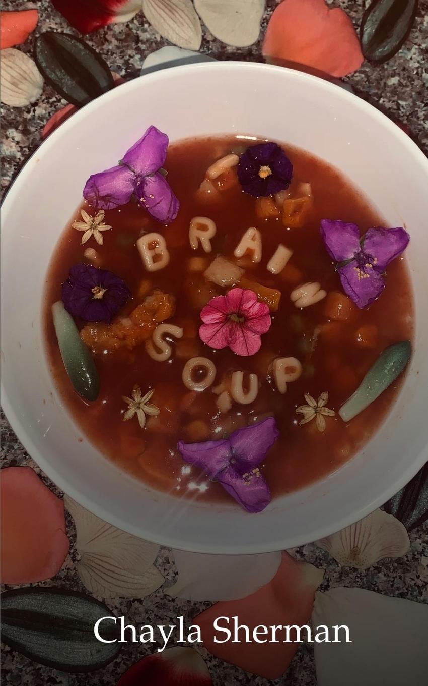 Knjiga Brain soup Chayla Sherman