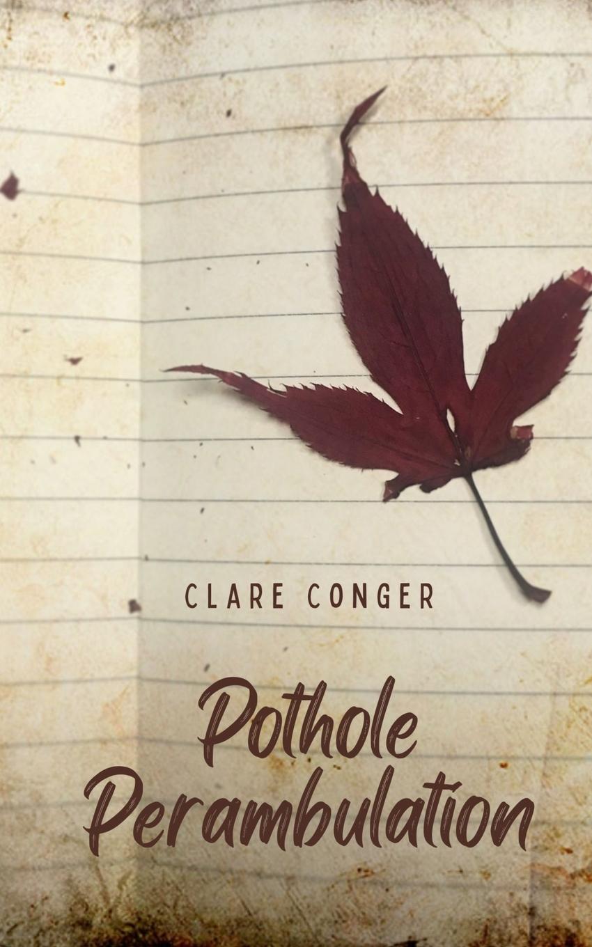 Knjiga Pothole Perambulation Clare Conger