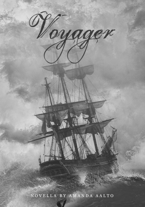 Buch Voyager Amanda Aalto