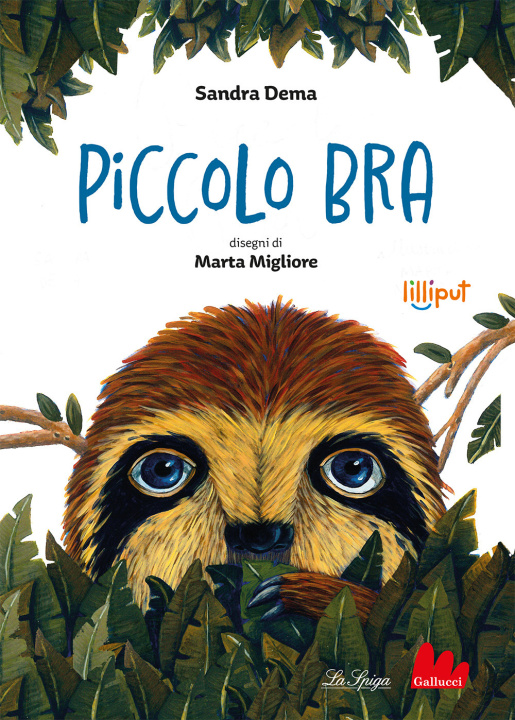 Book Piccolo Bra Sandra Dema