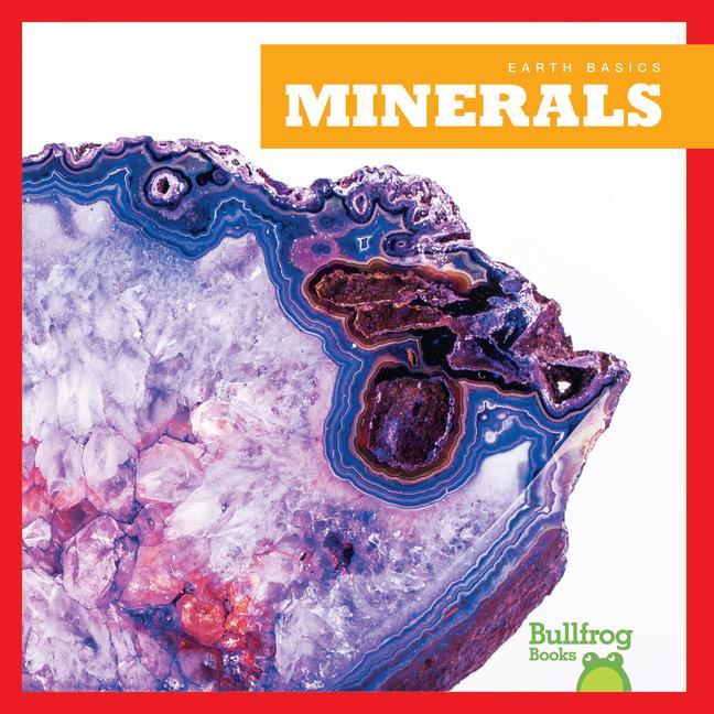 Knjiga Minerals N/A