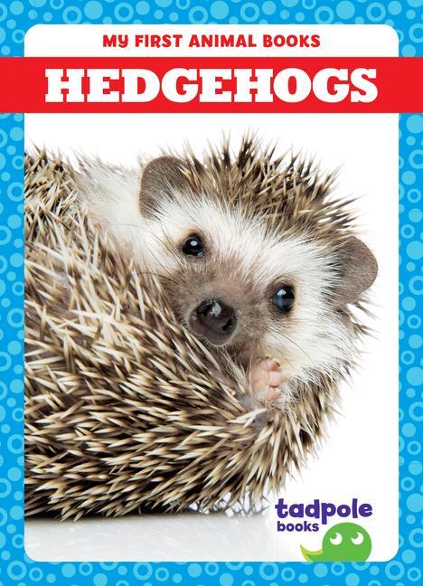Kniha Hedgehogs N/A