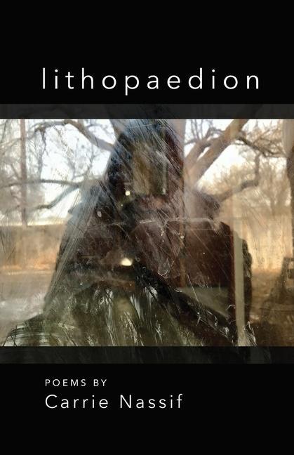 Knjiga lithopaedion Carrie Nassif
