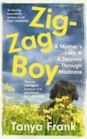 Knjiga Zig-Zag Boy Tanya Frank