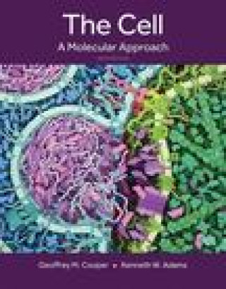Könyv The Cell A Molecular Approach  (Hardback) 