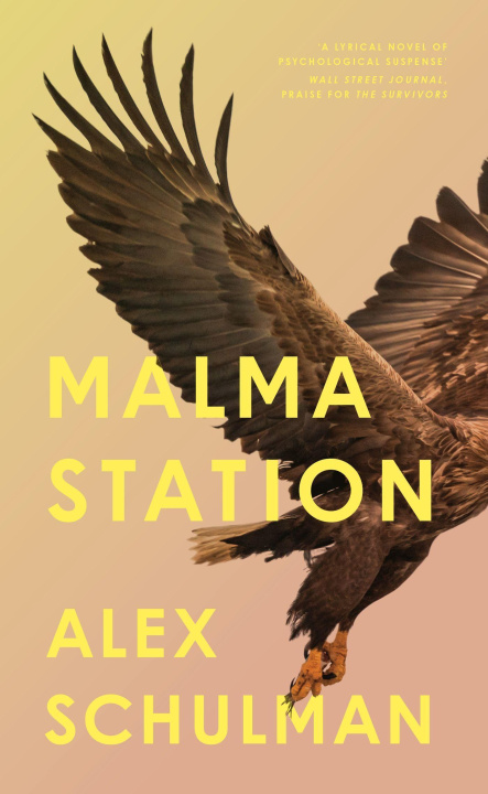 Buch Malma Station Alex Schulman
