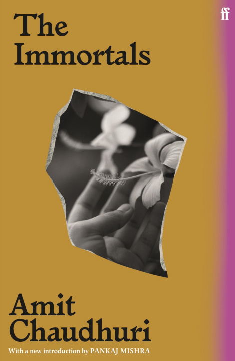 Knjiga Immortals Amit Chaudhuri