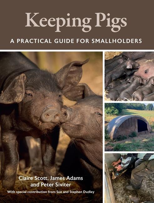 Könyv Keeping Pigs Claire Scott