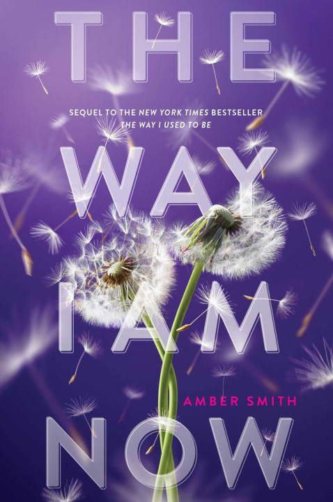 Kniha Way I Am Now Amber Smith