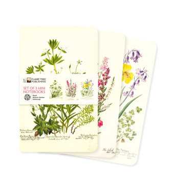Kalendár/Diár Royal Botanic Garden Edinburgh Set of 3 Mini Notebooks 