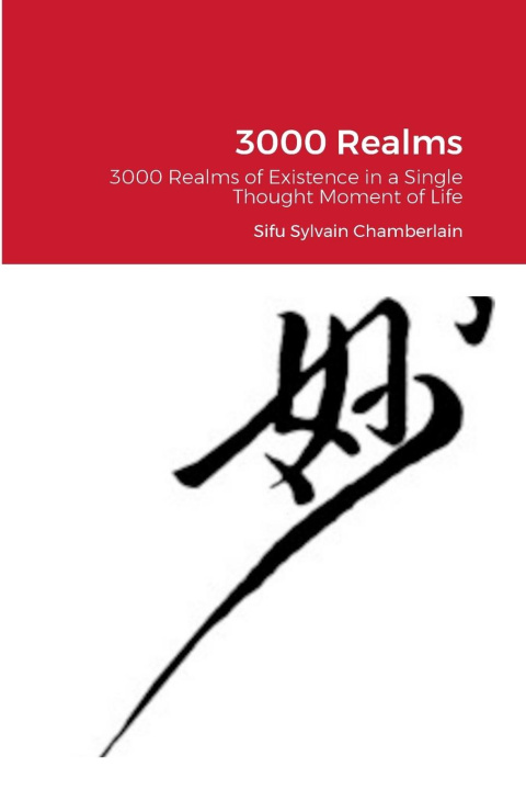 Knjiga 3000 Realms Sylvain Chamberlain
