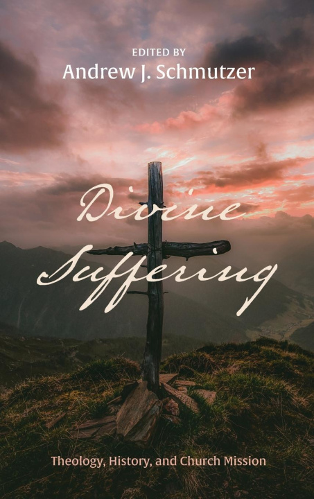 Buch Divine Suffering Andrew J. Schmutzer