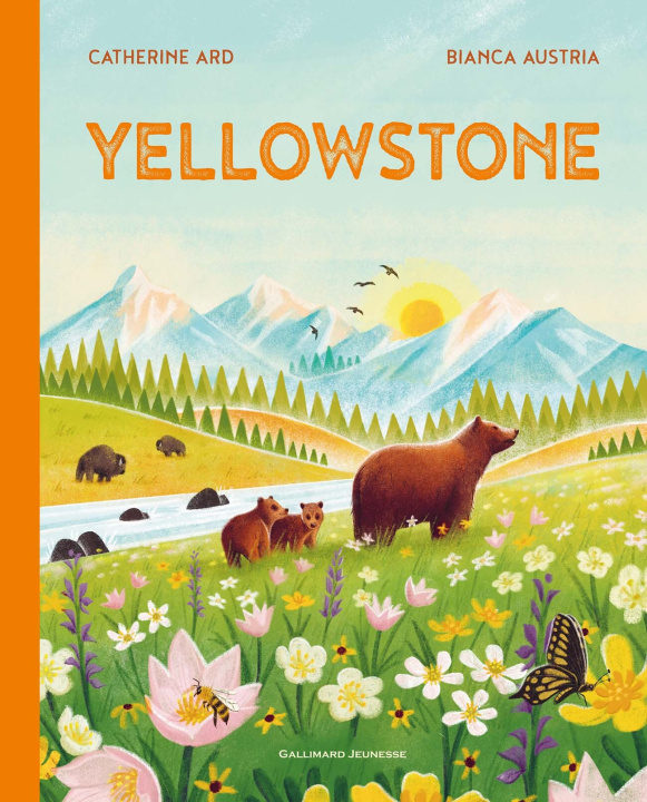 Book YELLOWSTONE CATH ARD