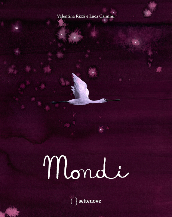 Libro Mondi Valentina Rizzi
