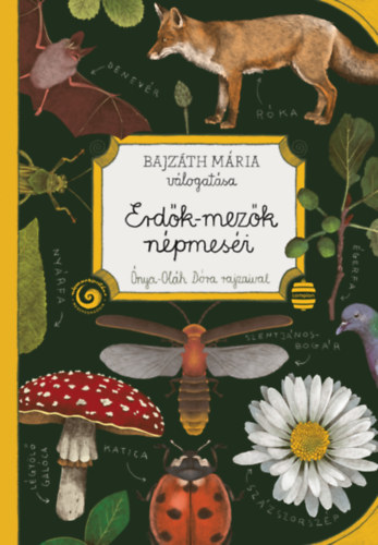 Kniha Erdők-mezők népmeséi Bajzáth Mária