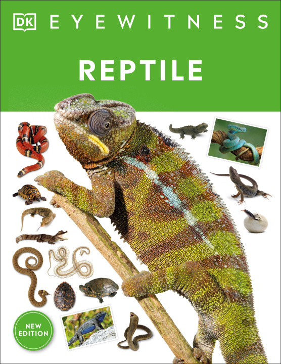 Книга Eyewitness Reptile 