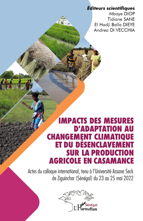 Kniha Impacts des mesures d'adaptation au changement climatique et du désenclavement sur la production agricole en Casamance Diop