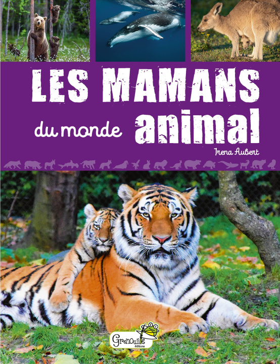 Kniha Les mamans du monde animal AUBERT
