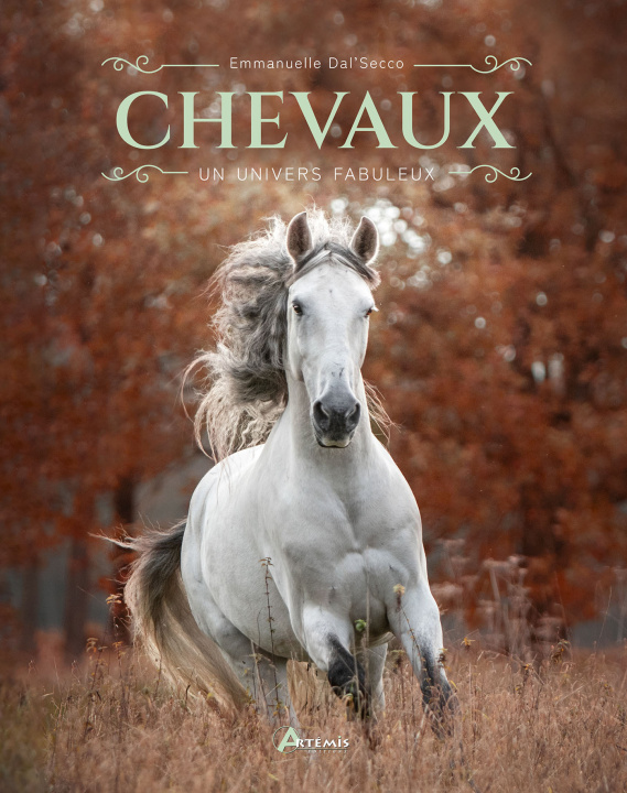 Kniha Chevaux : un univers fabuleux DAL'SECCO