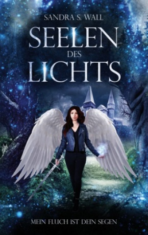 Boek Seelen des Lichts Sandra S. Wall