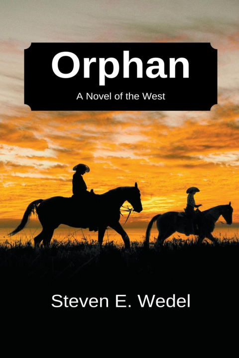 Książka Orphan Steven E. Wedel