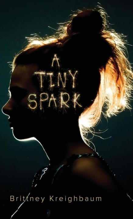 Knjiga A Tiny Spark Brittney Kreighbaum