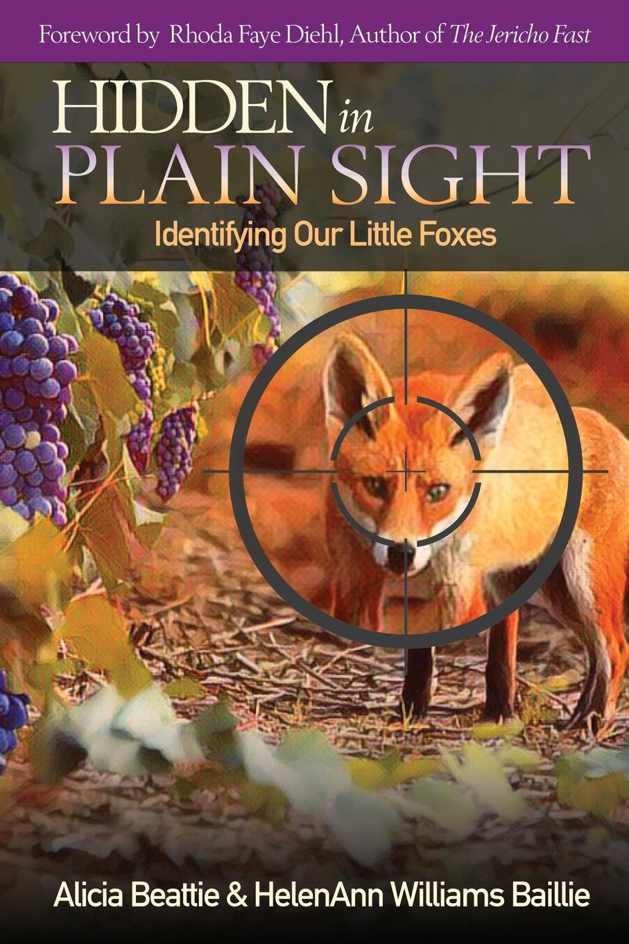 Knjiga Hidden in Plain Sight HelenAnn Williams Baillie
