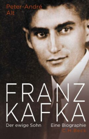 Boek Franz Kafka Peter-André Alt