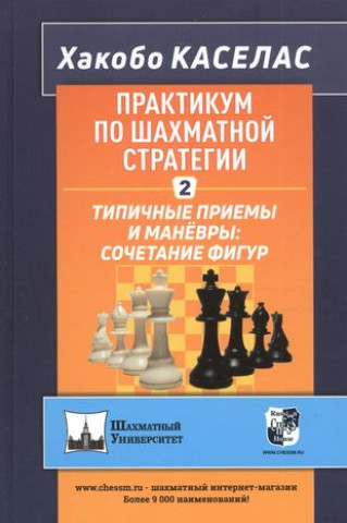 Könyv Практикум по шахматной стратегии-2.Типичные приёмы и манёвры: сочетание фигур 