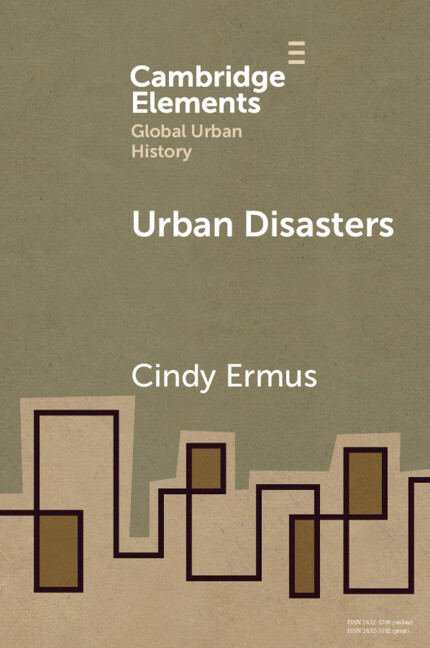 Knjiga Urban Disasters Cindy Ermus