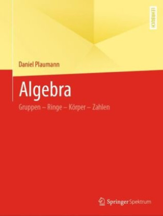 Knjiga Algebra Daniel Plaumann