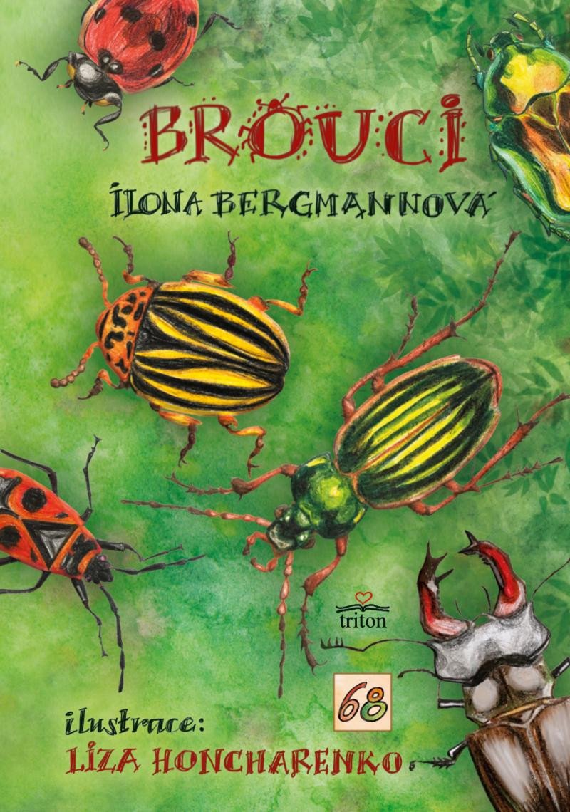 Kniha Brouci Ilona Bergmannová