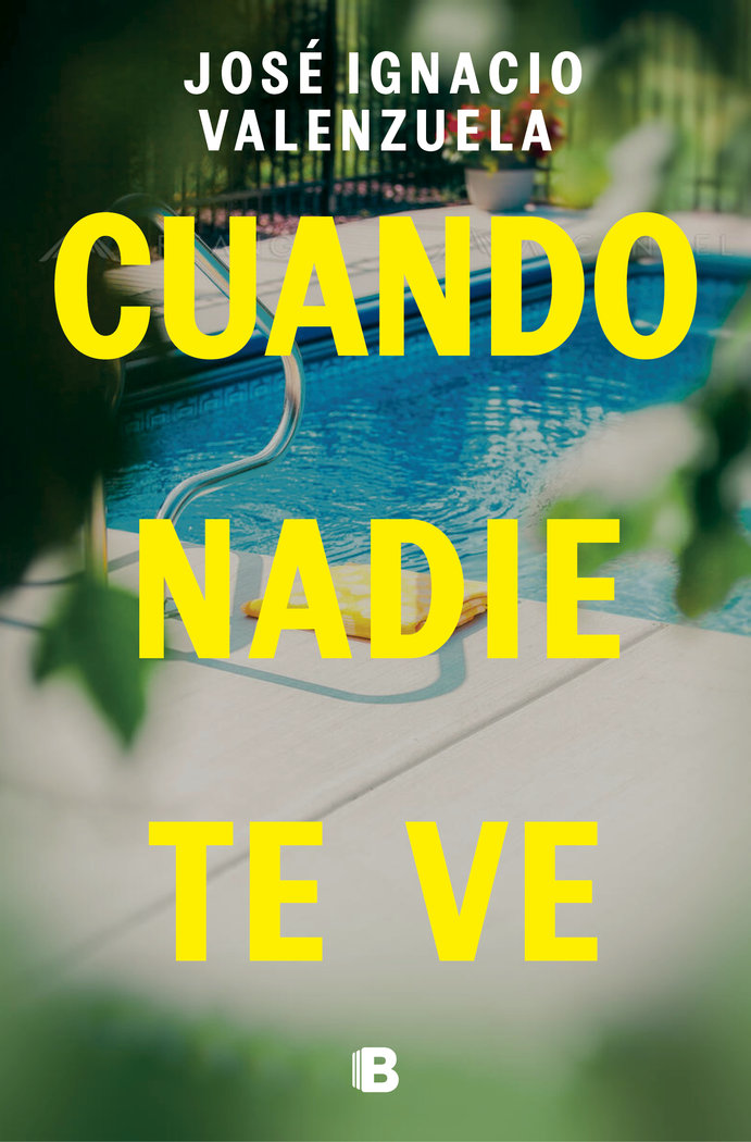 Buch CUANDO NADIE TE VE JOSE IGNACIO VALENZUELA
