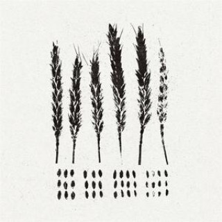 Audio The Gleaners Lo!