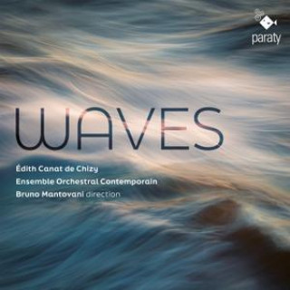 Zvok Waves 