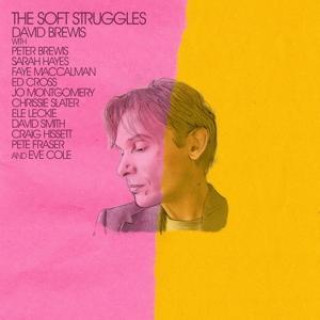 Audio The Soft Struggles David Brewis