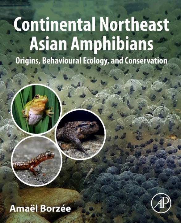 Livre Continental Northeast Asian Amphibians Amaël Borzée