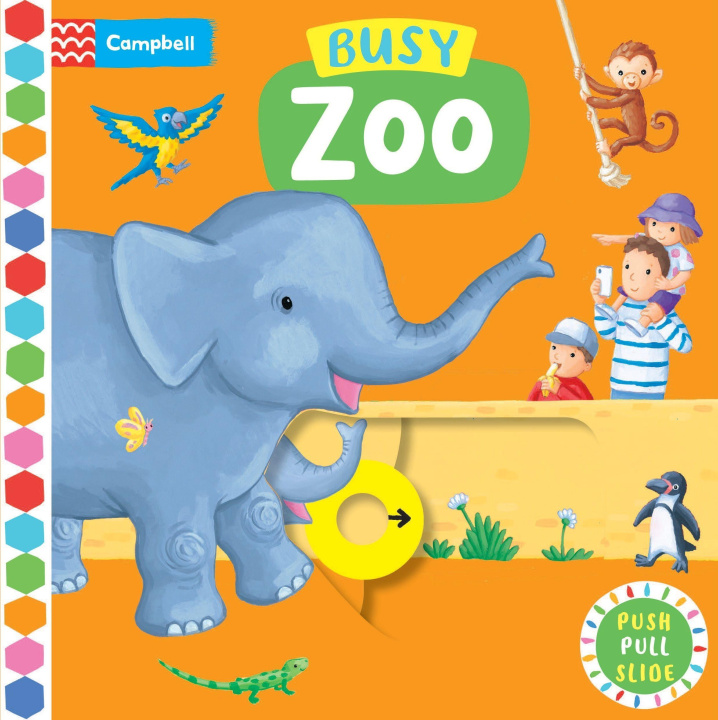 Kniha Busy Zoo Rebecca Finn