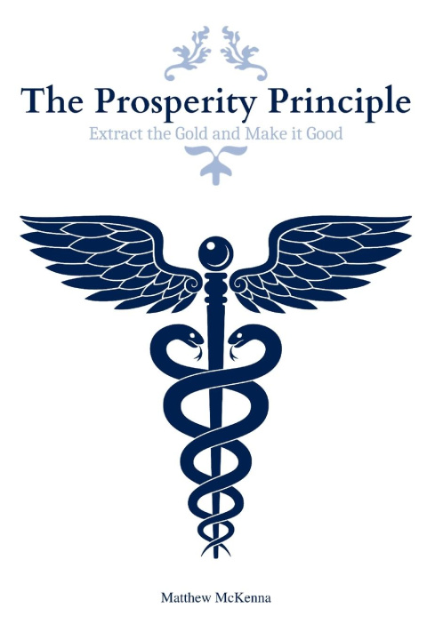 Knjiga The Prosperity Principle Matthew McKenna