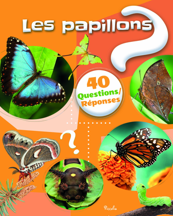 Knjiga Les papillons Baillet