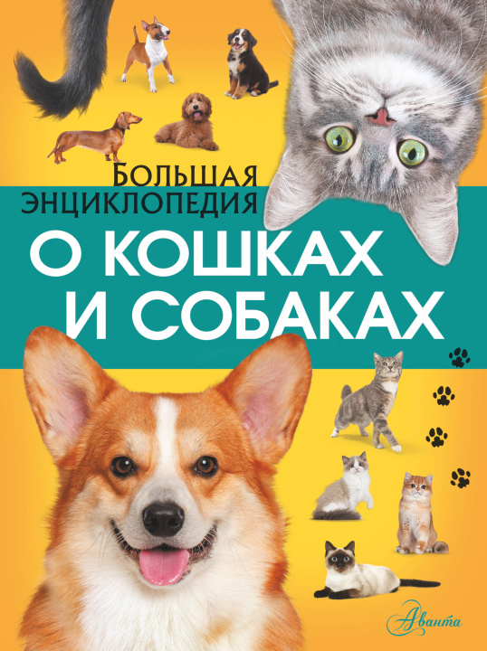 Könyv Большая энциклопедия о кошках и собаках Ирина Барановская