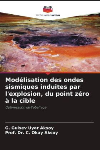 Kniha Modélisation des ondes sismiques induites par l'explosion, du point zéro ? la cible C. Okay Aksoy